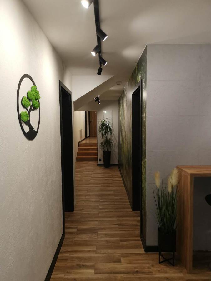 Apartament Skorusinka W Poblizu Chocholowskich Term Witów Dış mekan fotoğraf