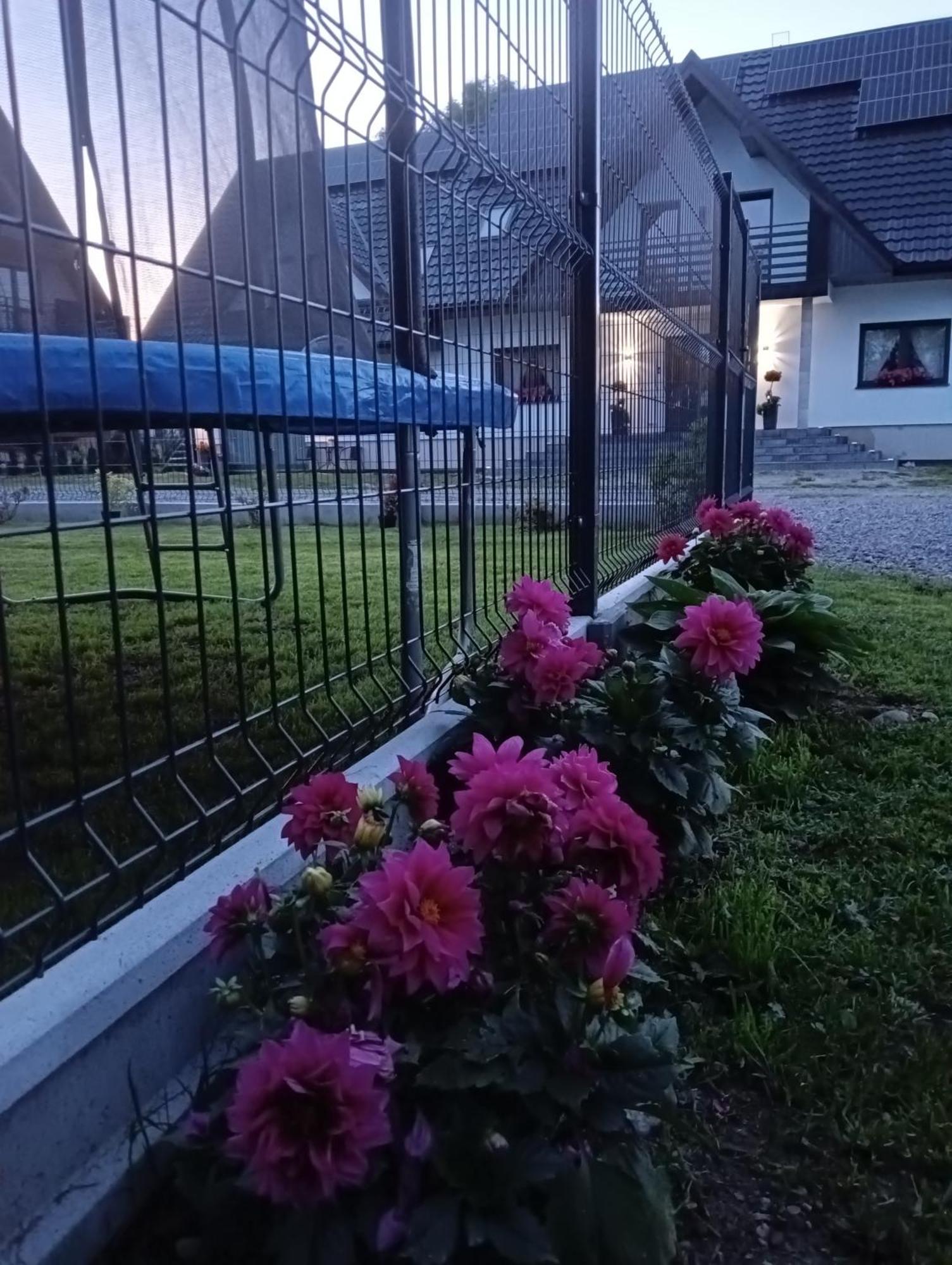 Apartament Skorusinka W Poblizu Chocholowskich Term Witów Dış mekan fotoğraf